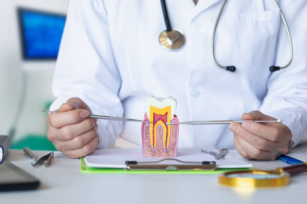 Best Emergency Dental Care for Broken or Chipped Teeth in Magnolia, TX